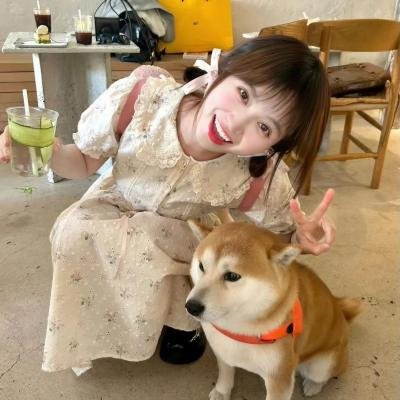 再见吧